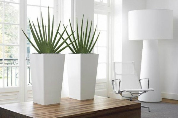15 Big Sophisticated Floor Vases That Are Simple Unique kako spreciti truljenje sobnog bilja zimi459415 15 Big Sophisticated Floor Vases That Are Simple Unique