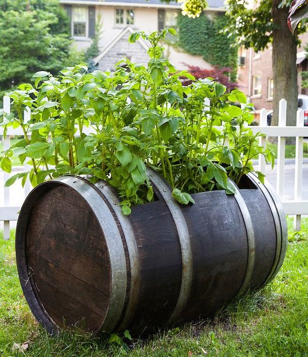 patos23s Top and Creative Ideas About Reusing the Old Wine Barrels