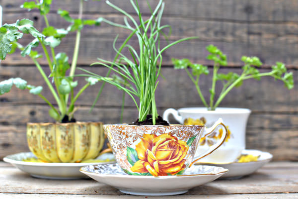 teacup herb favors 15 Tiny and Lovely DIY Garden in a Coffee Mug