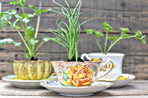 15 Tiny and Lovely DIY Garden in a Coffee Mug teacup herb favors 15 Tiny and Lovely DIY Garden in a Coffee Mug