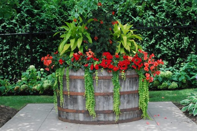 wine barrel planter 634x424 Top and Creative Ideas About Reusing the Old Wine Barrels