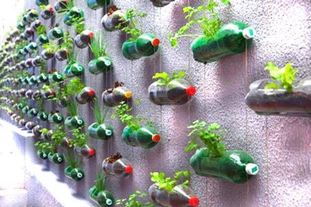 550950 329791843761756 1826402527 n 634x423 Amazing Ideas on How to Reuse Plastic Bottles in Garden