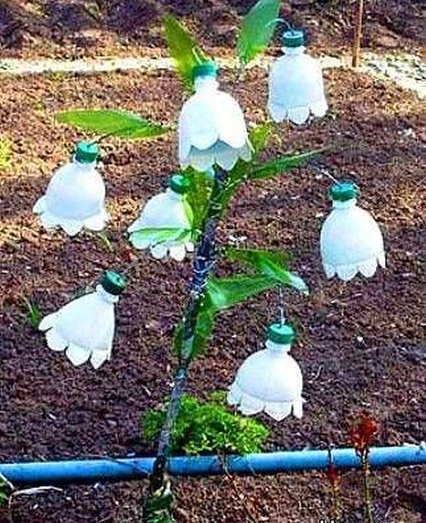 Amazing Ideas on How to Reuse Plastic Bottles in Garden da5bfdfa781fa526bd5f828c2fa8d603 Amazing Ideas on How to Reuse Plastic Bottles in Garden