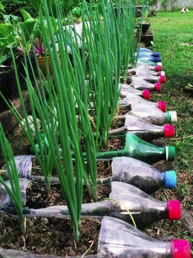 Amazing Ideas on How to Reuse Plastic Bottles in Garden snimka obrazovky 2015 03 16 o 16 24 48 634x846 Amazing Ideas on How to Reuse Plastic Bottles in Garden