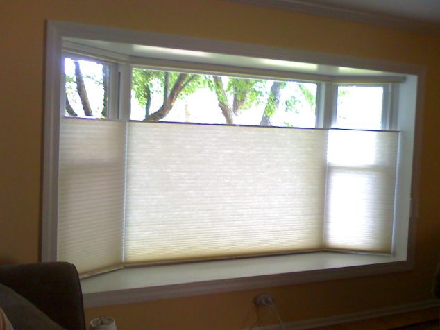 image001 1 634x476 Roman Shades or Cellular Shades for Privacy Factor