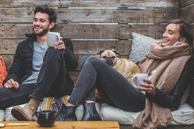 How to Make Your Apartment Pet Friendly How to make your apartment pet friendly 7 634x422 How to Make Your Apartment Pet Friendly