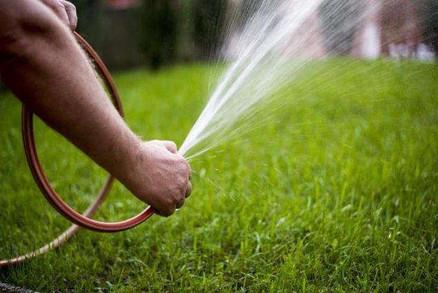 image1 21 634x424 Enjoying Organic Lawn Care on a Budget