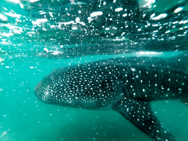 Discovering Khao Lak: Thailands Slice of Nature Discovering Khao Lak: Thailands Slice of Nature